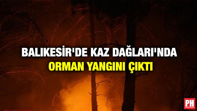 BALIKESİR’DE KAZ DAĞLARI’NDA ORMAN YANGINI ÇIKTI