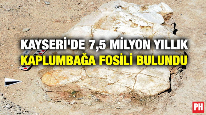 KAYSERİ’DE 7,5 MİLYON YILLIK KAPLUMBAĞA FOSİLİ BULUNDU