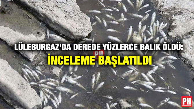 LÜLEBURGAZ’DA DEREDE YÜZLERCE BALIK ÖLDÜ: İNCELEME BAŞLATILDI