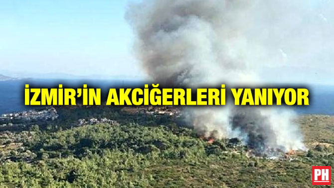 İZMİR’İN AKCİĞERLERİ YANIYOR