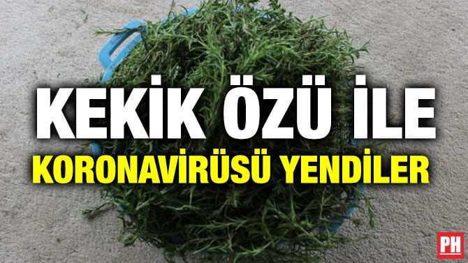 KEKİK ÖZÜ İLE KORONAVİRÜSÜ YENDİLER