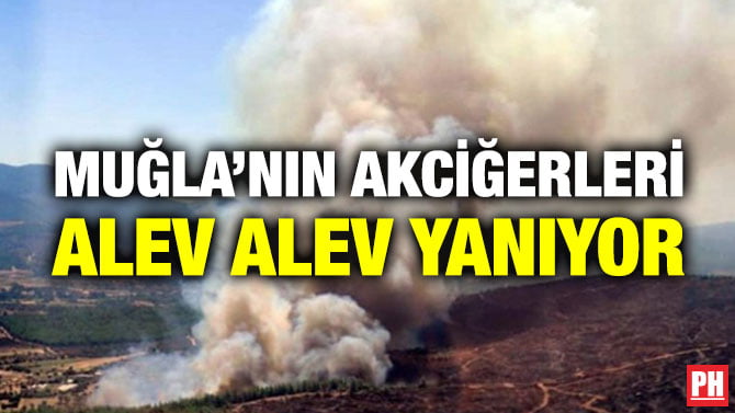 MUĞLA’NIN AKCİĞERLERİ ALEV ALEV YANIYOR