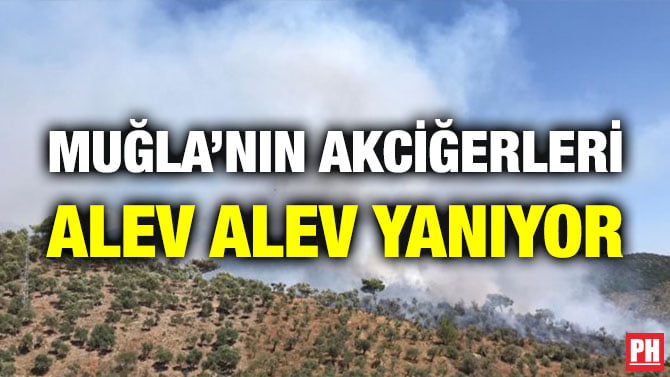 MUĞLA’NIN AKCİĞERLERİ ALEV ALEV YANIYOR