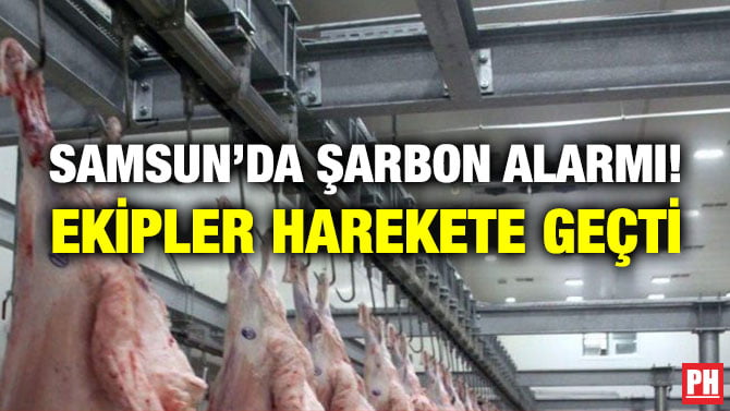 SAMSUN’DA ŞARBON ALARMI! EKİPLER HAREKETE GEÇTİ