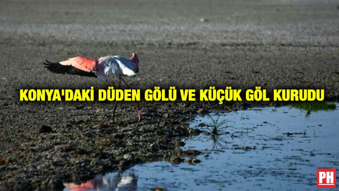 KONYA’DAKİ DÜDEN GÖLÜ VE KÜÇÜK GÖL KURUDU