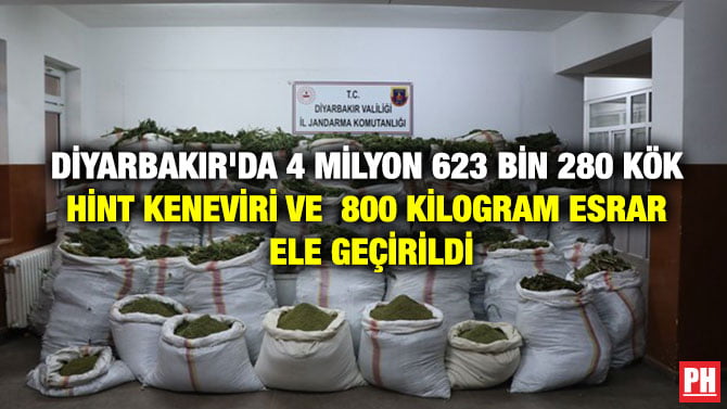 DİYARBAKIR’DA 4 MİLYON 623 BİN 280 KÖK HİNT KENEVİRİ VE  800 KİLOGRAM ESRAR ELE GEÇİRİLDİ