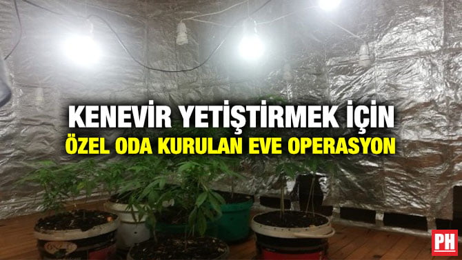 KENEVİR YETİŞTİRMEK İÇİN ÖZEL ODA KURULAN EVE OPERASYON