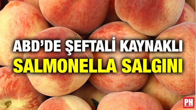 ABD’DE ŞEFTALİ KAYNAKLI SALMONELLA SALGINI