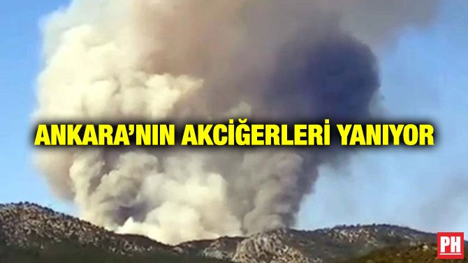 ANKARA’NIN AKCİĞERLERİ YANIYOR
