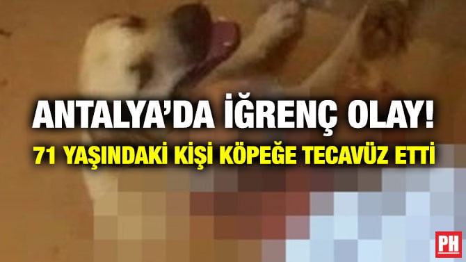 ANTALYA’DA İĞRENÇ OLAY! 71 YAŞINDAKİ KİŞİ KÖPEĞE TECAVÜZ ETTİ