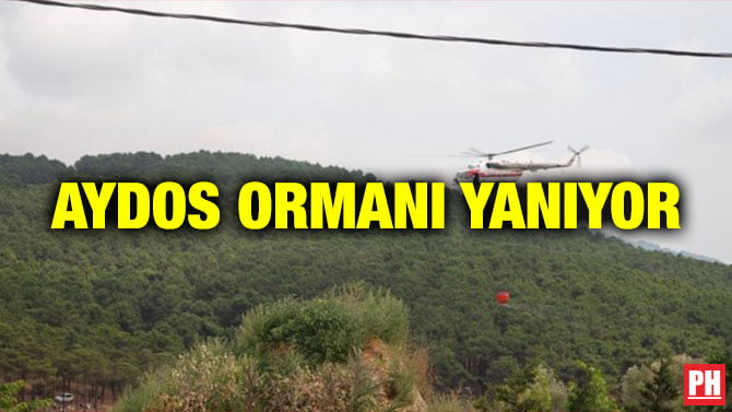 AYDOS ORMANI YANIYOR