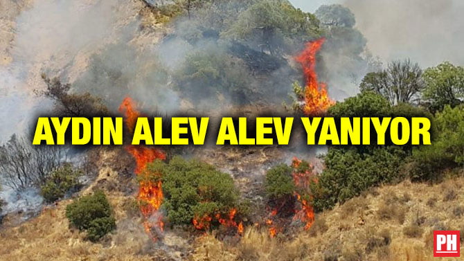 AYDIN ALEV ALEV YANIYOR