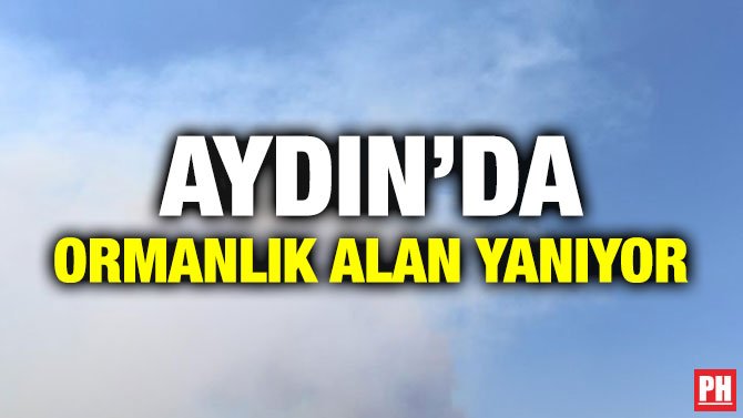 AYDIN’DA ORMANLIK ALAN YANIYOR
