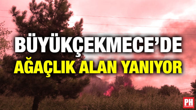 BÜYÜKÇEKMECE’DE AĞAÇLIK ALAN YANIYOR