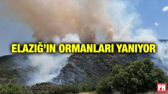 ELAZIĞ’IN ORMANLARI YANIYOR