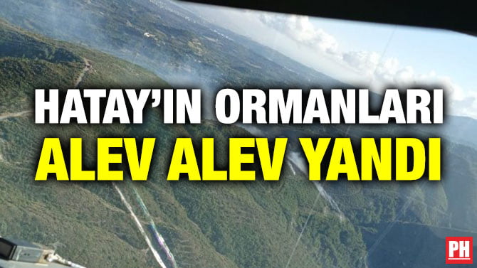 HATAY’IN ORMANLARI ALEV ALEV YANDI