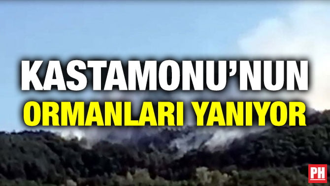 KASTAMONU’NUN ORMANLARI YANIYOR
