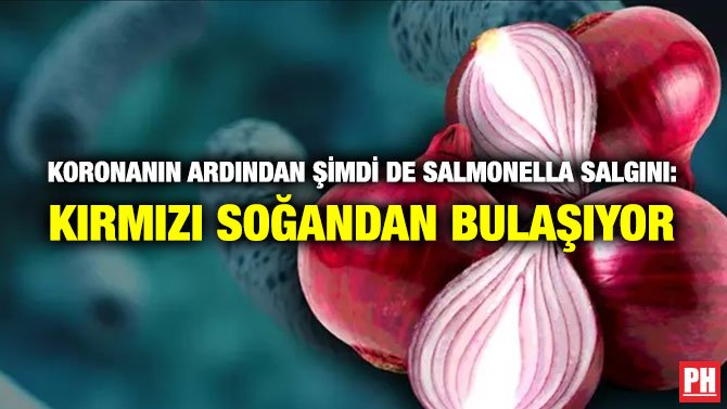 KORONANIN ARDINDAN ŞİMDİ DE SALMONELLA SALGINI: KIRMIZI SOĞANDAN BULAŞIYOR