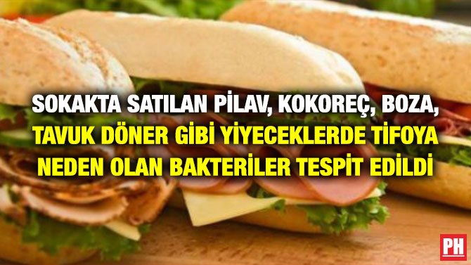 SOKAKTA SATILAN PİLAV, KOKOREÇ, BOZA, TAVUK DÖNER GİBİ YİYECEKLERDE TİFOYA NEDEN OLAN BAKTERİLER TESPİT EDİLDİ
