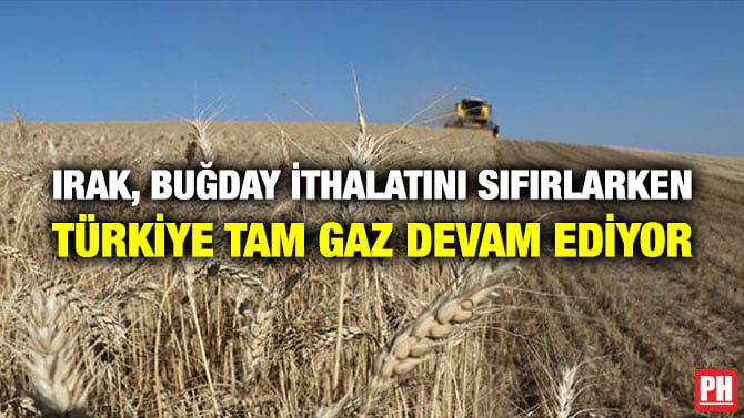 IRAK, BUĞDAY İTHALATINI SIFIRLARKEN TÜRKİYE TAM GAZ DEVAM EDİYOR