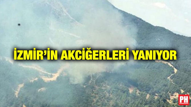 İZMİR’İN AKCİĞERLERİ YANIYOR