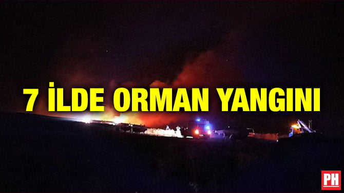 7 İLDE ORMAN YANGINI