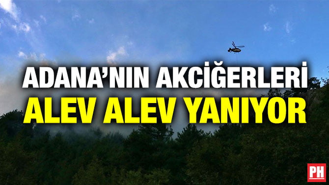 ADANA’NIN AKCİĞERLERİ ALEV ALEV YANIYOR