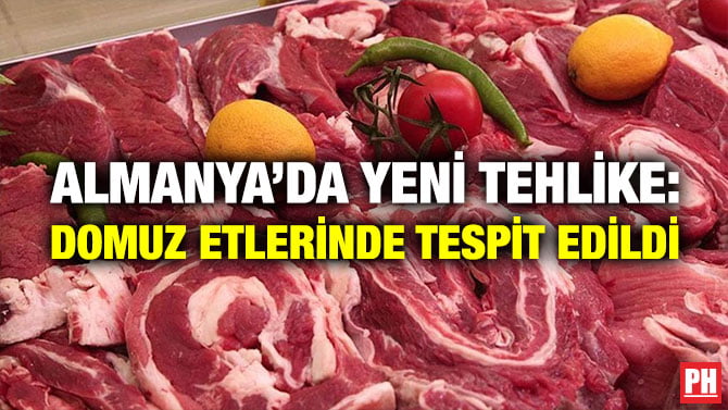 ALMANYA’DA YENİ TEHLİKE: DOMUZ ETLERİNDE TESPİT EDİLDİ