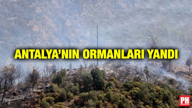 ANTALYA’NIN ORMANLARI YANDI