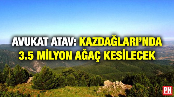 AVUKAT ATAV: KAZDAĞLARI’NDA 3.5 MİLYON AĞAÇ KESİLECEK