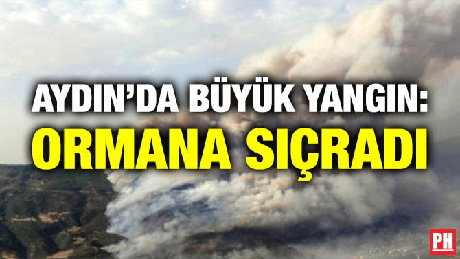 AYDIN’DA BÜYÜK YANGIN: ORMANA SIÇRADI
