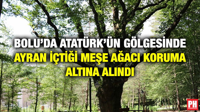 BOLU’DA ATATÜRK’ÜN GÖLGESİNDE AYRAN İÇTİĞİ MEŞE AĞACI KORUMA ALTINA ALINDI