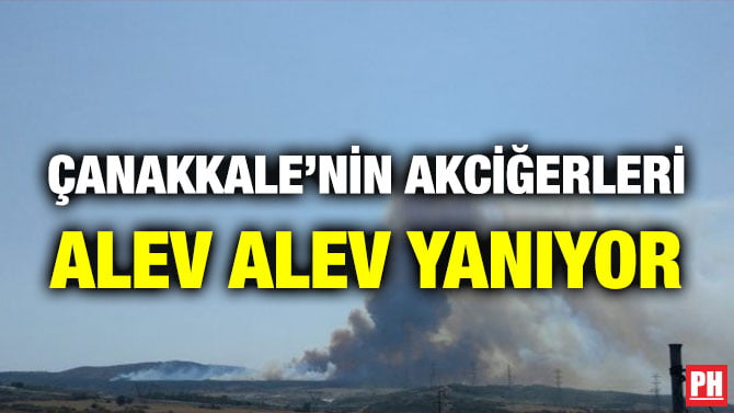 ÇANAKKALE’NİN AKCİĞERLERİ ALEV ALEV YANIYOR