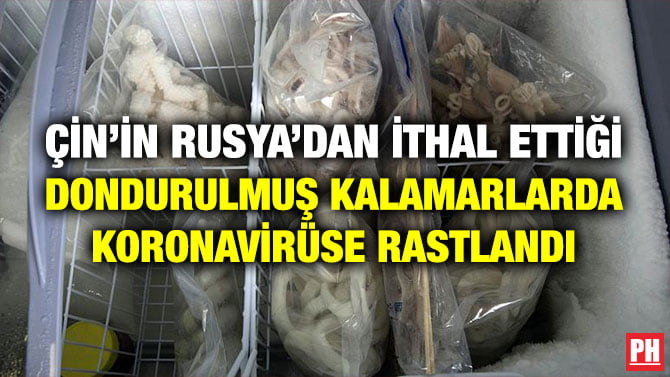 ÇİN’İN RUSYA’DAN İTHAL ETTİĞİ DONDURULMUŞ KALAMARLARDA KORONAVİRÜSE RASTLANDI