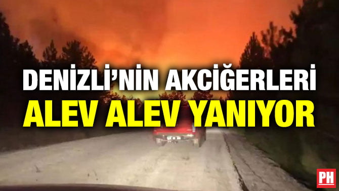 DENİZLİ’NİN AKCİĞERLERİ ALEV ALEV YANIYOR