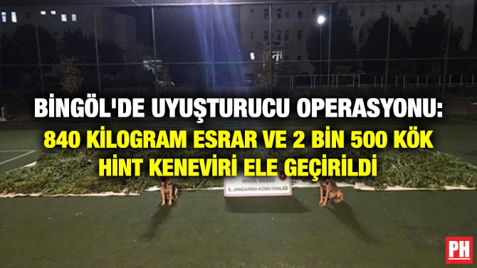 BİNGÖL’DE UYUŞTURUCU OPERASYONU: 840 KİLOGRAM ESRAR VE 2 BİN 500 KÖK HİNT KENEVİRİ ELE GEÇİRİLDİ