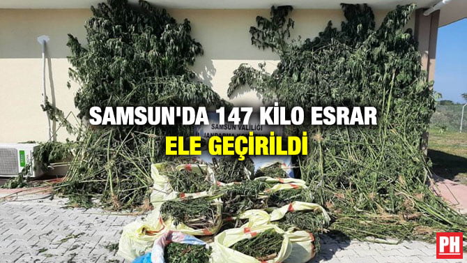 SAMSUN’DA 147 KİLO ESRAR ELE GEÇİRİLDİ