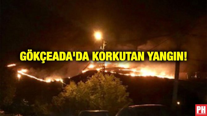 GÖKÇEADA’DA KORKUTAN YANGIN!