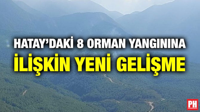 HATAY’DAKİ 8 ORMAN YANGININA İLİŞKİN YENİ GELİŞME