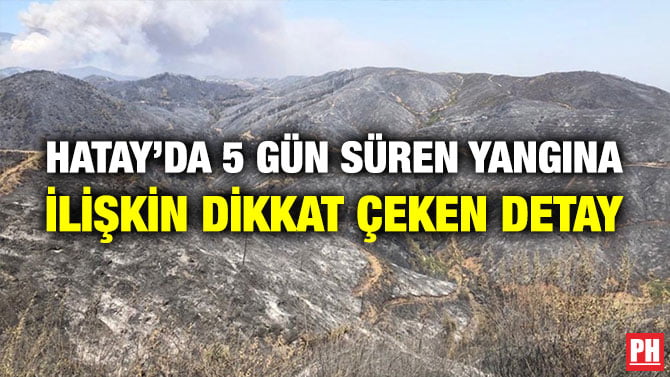 HATAY’DA 5 GÜN SÜREN YANGINA İLİŞKİN DİKKAT ÇEKEN DETAY
