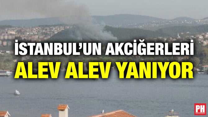 İSTANBUL’UN AKCİĞERLERİ ALEV ALEV YANIYOR