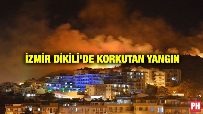 İZMİR DİKİLİ’DE KORKUTAN YANGIN