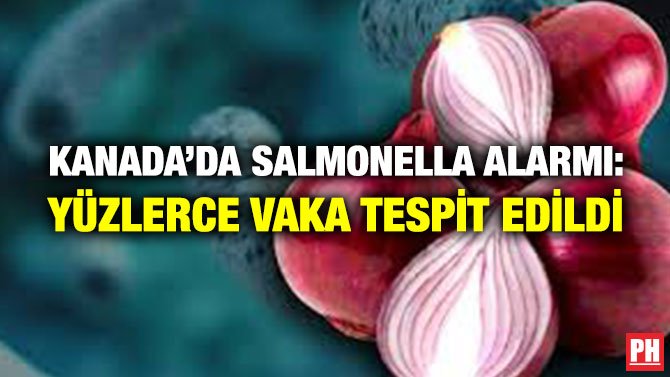 KANADA’DA SALMONELLA ALARMI: YÜZLERCE VAKA TESPİT EDİLDİ