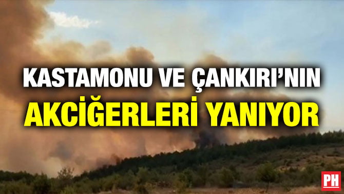 KASTAMONU VE ÇANKIRI’NIN AKCİĞERLERİ YANIYOR