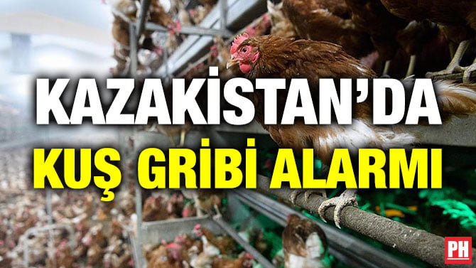KAZAKİSTAN’DA KUŞ GRİBİ ALARMI