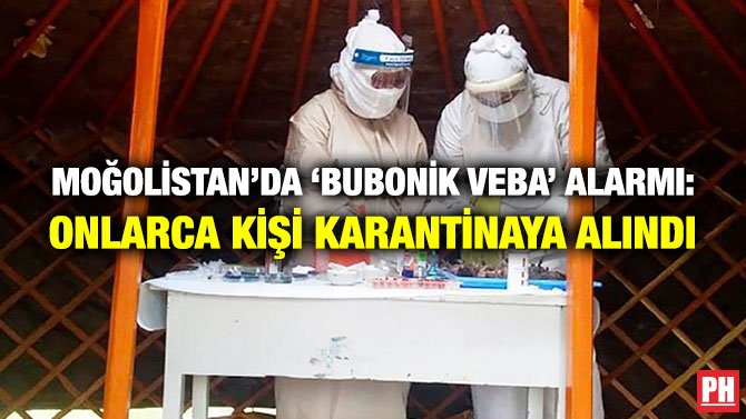 MOĞOLİSTAN’DA ‘BUBONİK VEBA’ ALARMI: ONLARCA KİŞİ KARANTİNAYA ALINDI