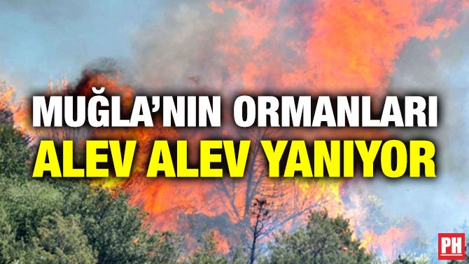 MUĞLA’NIN ORMANLARI ALEV ALEV YANIYOR