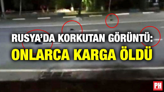 RUSYA’DA KORKUTAN GÖRÜNTÜ: ONLARCA KARGA ÖLDÜ