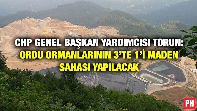 CHP GENEL BAŞKAN YARDIMCISI TORUN: ORDU ORMANLARININ 3’TE 1’İ  MADEN SAHASI YAPILACAK