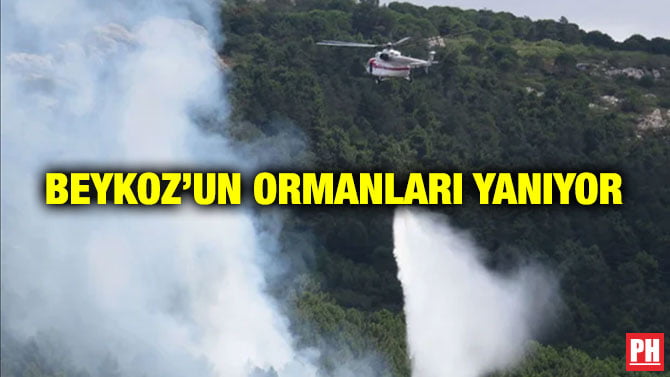 BEYKOZ’UN ORMANLARI YANIYOR